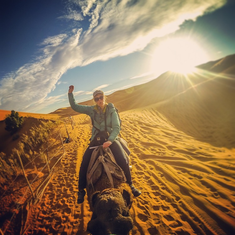 Desert-camel-Morocco
