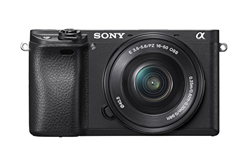 Sony a6300 Mirrorless Camera